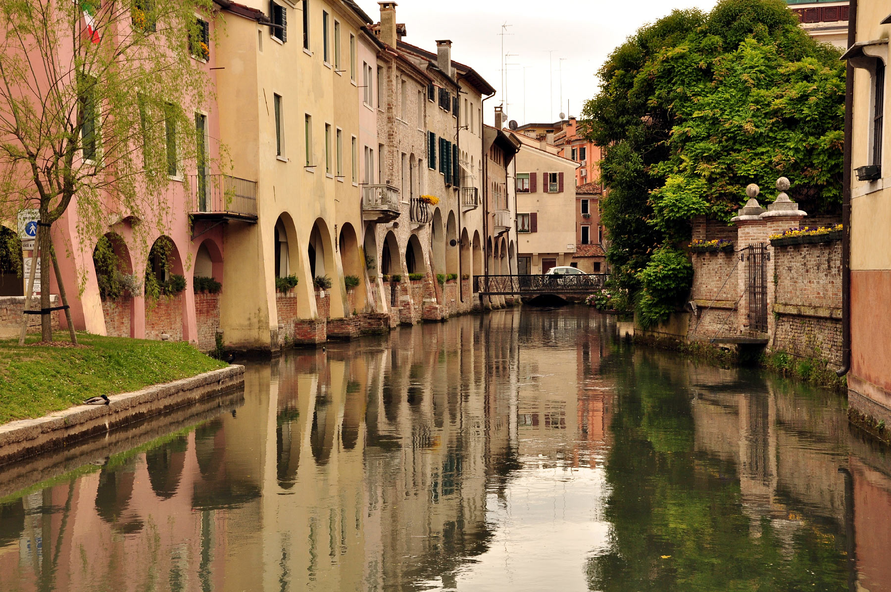 Treviso